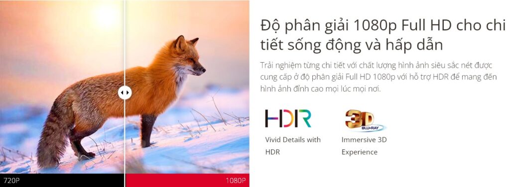 may-chieu-viewsonic-x2-mota5