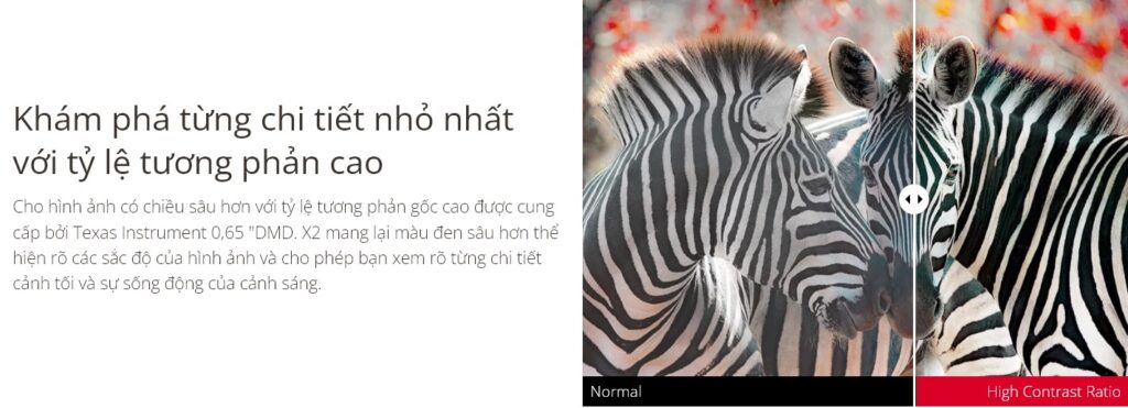 may-chieu-viewsonic-x2-mota6