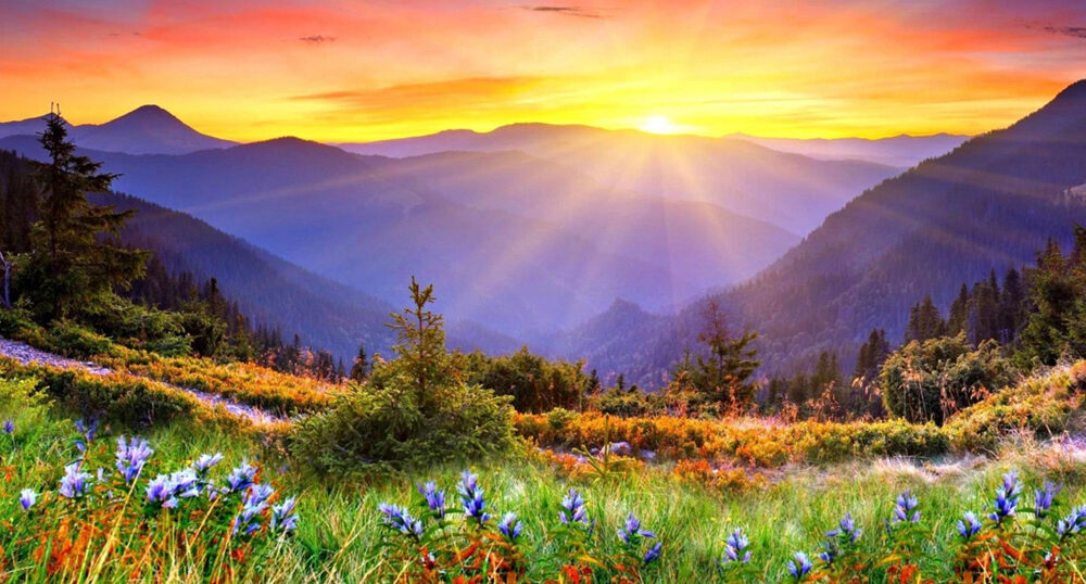 Nên lựa chọn độ phân giải màn hình như thế nào?